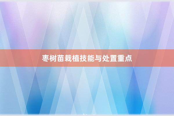 枣树苗栽植技能与处置重点