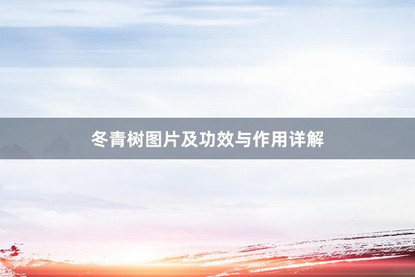 冬青树图片及功效与作用详解